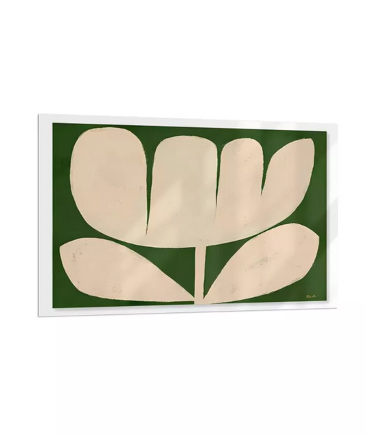 Tulipa Minimal