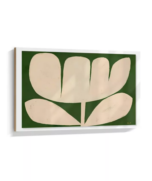 Tulipa Minimal
