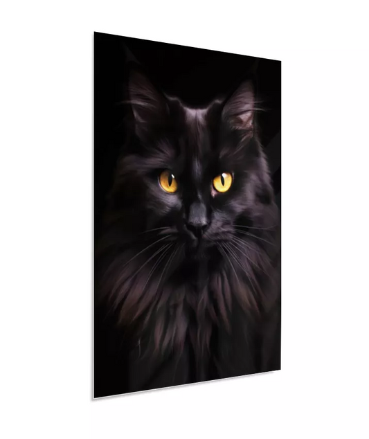 Gato Preto