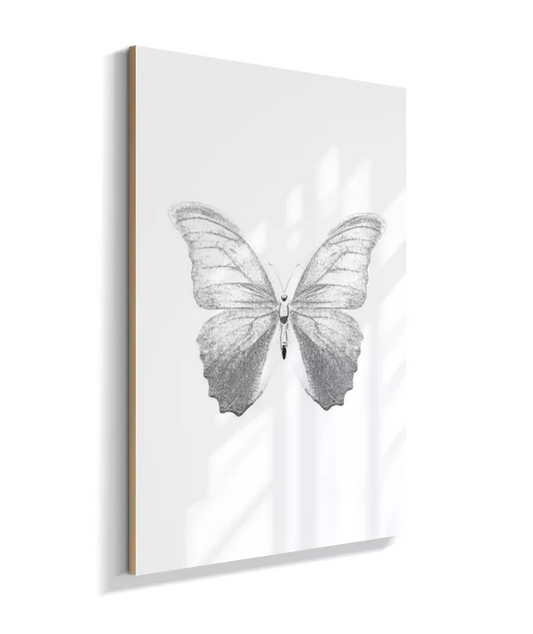 Borboleta